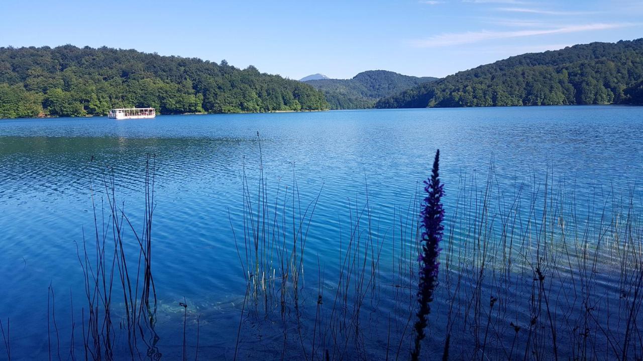B&B Plitvice Lakes Villa Prica Plitvica selo Dış mekan fotoğraf