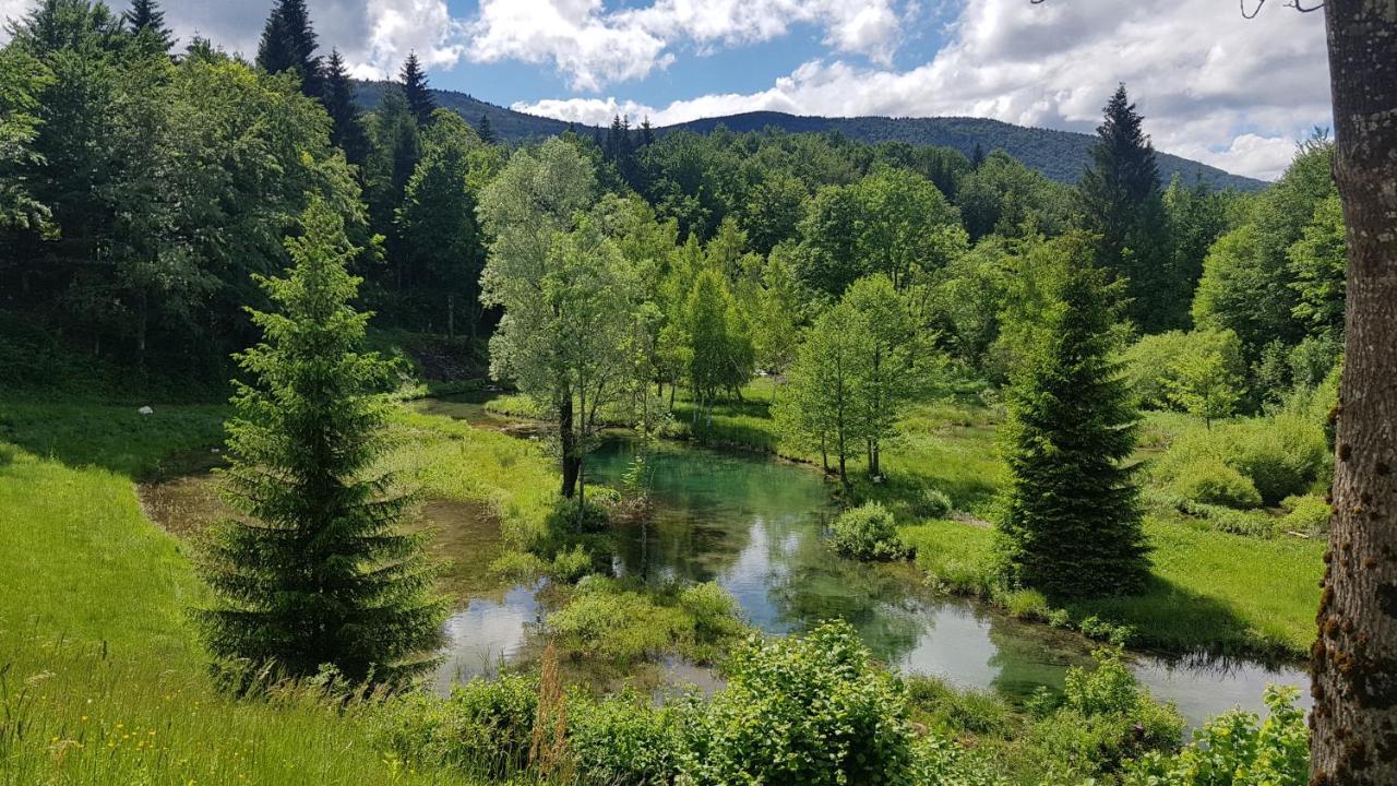 B&B Plitvice Lakes Villa Prica Plitvica selo Dış mekan fotoğraf