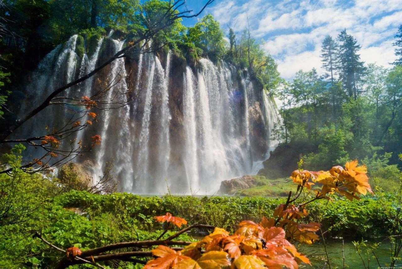 B&B Plitvice Lakes Villa Prica Plitvica selo Dış mekan fotoğraf